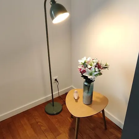 Maison Moderne Et Chaleureuse A *